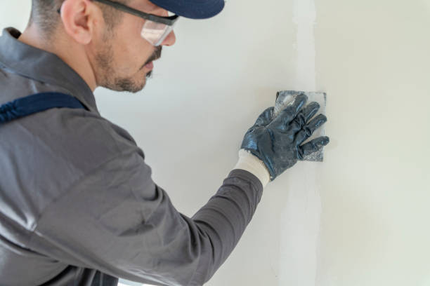 Best Drywall Sanding and Smoothing  in Salisbury, MO