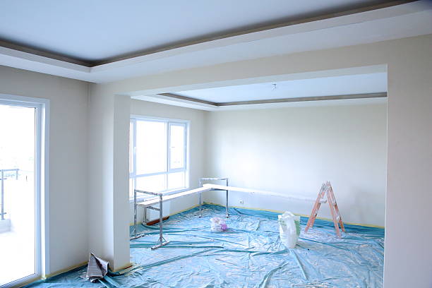 Best Ceiling Drywall Installation  in Salisbury, MO